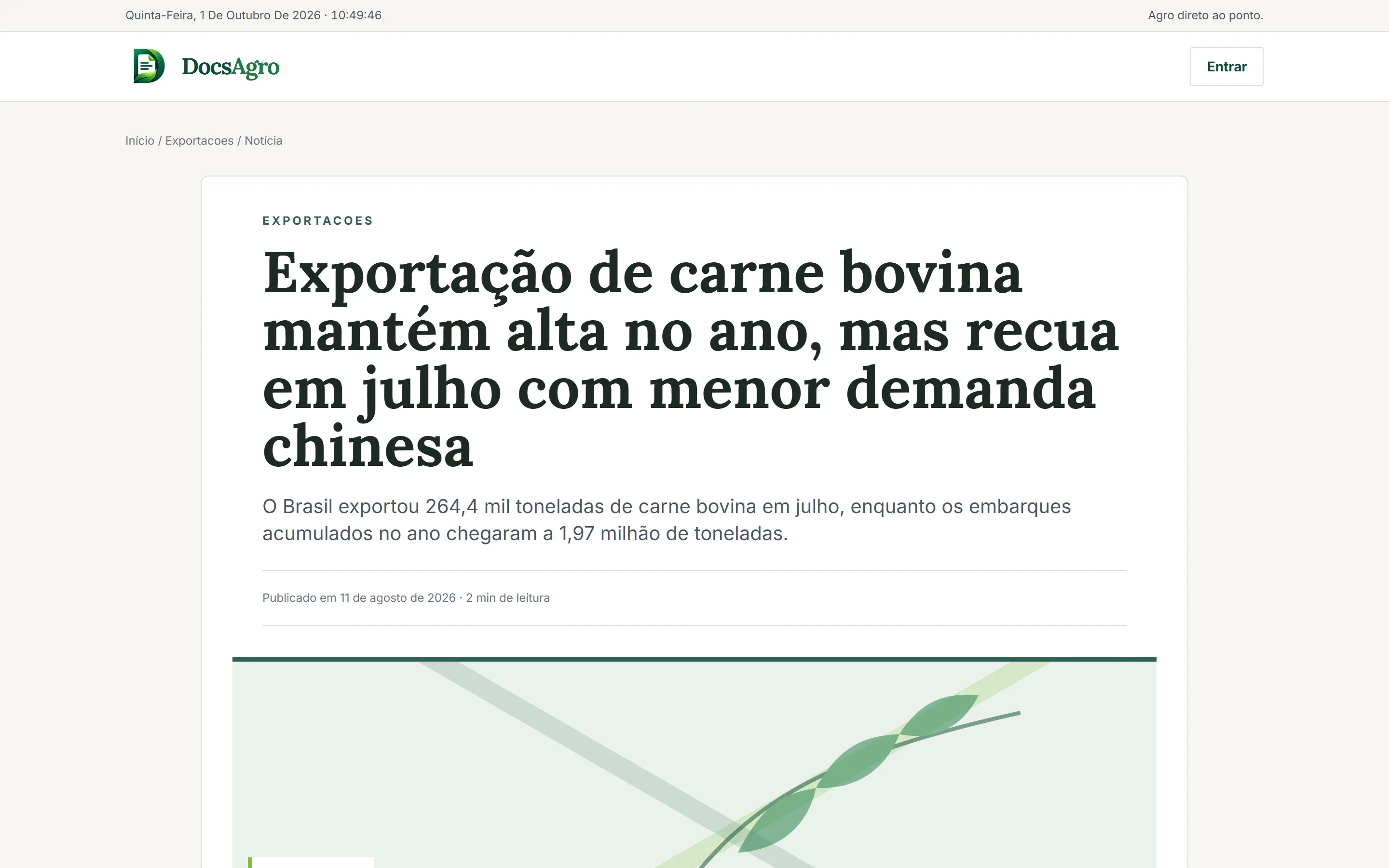 Página de leitura de uma notícia no DocsAgro, com editoria, título, resumo e data de publicação